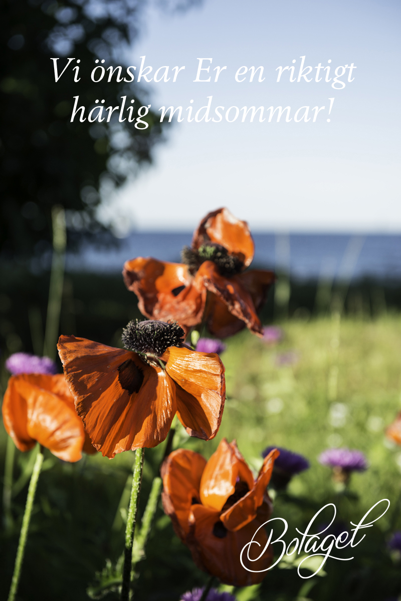 Midsommar2