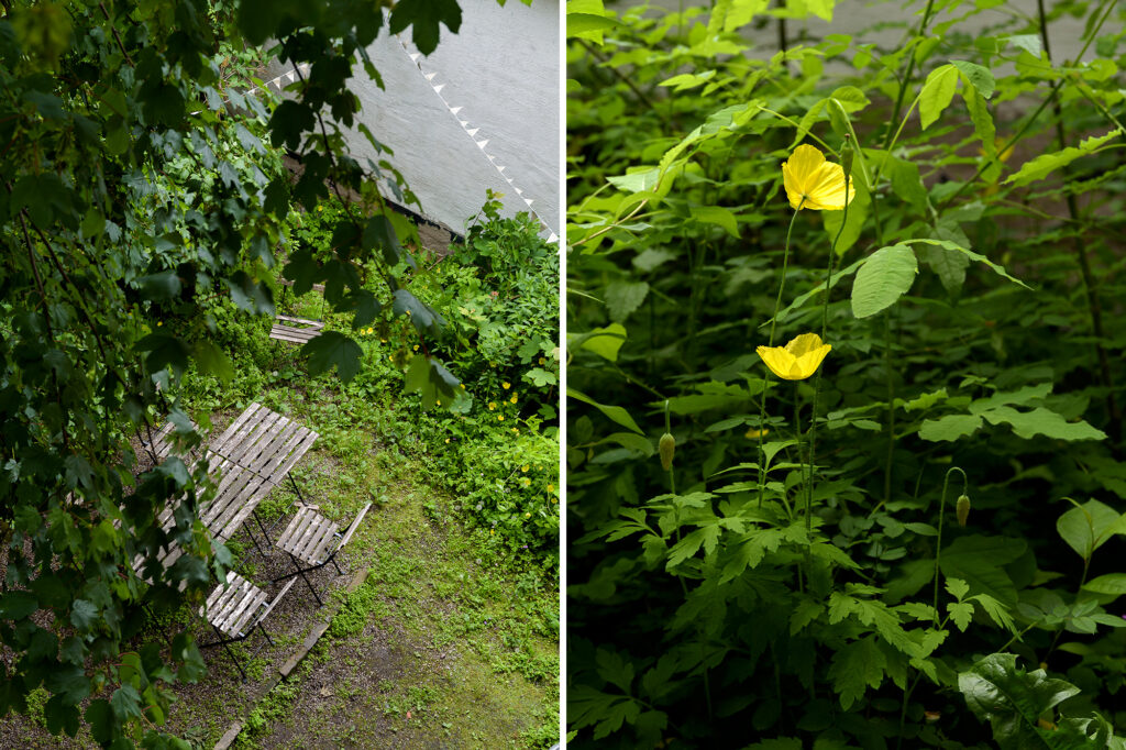 Grön innergård. Lund. Lilla Tomegatan. Utemöbler. Ängsblomster. Lummig. Lummigt. Styling.